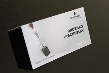 Приглашение Вячеслава Дюденко как члена международного жюри на Austrian Hairdressing Awards 2013